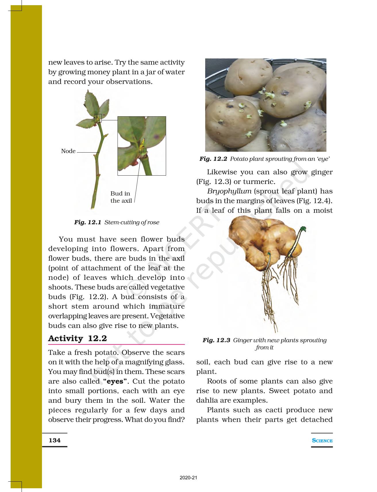 case study class 7 science reproduction in plants